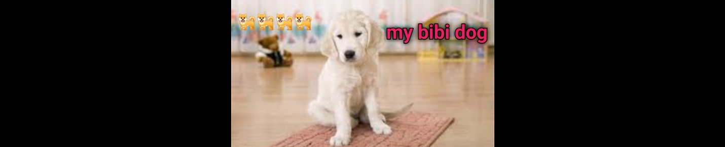 Baby Dogs 🔴 Cute and Funny Dog Videos Compilation