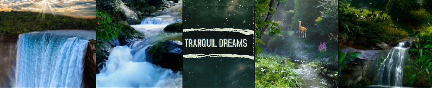 TranquilDreams Lounge