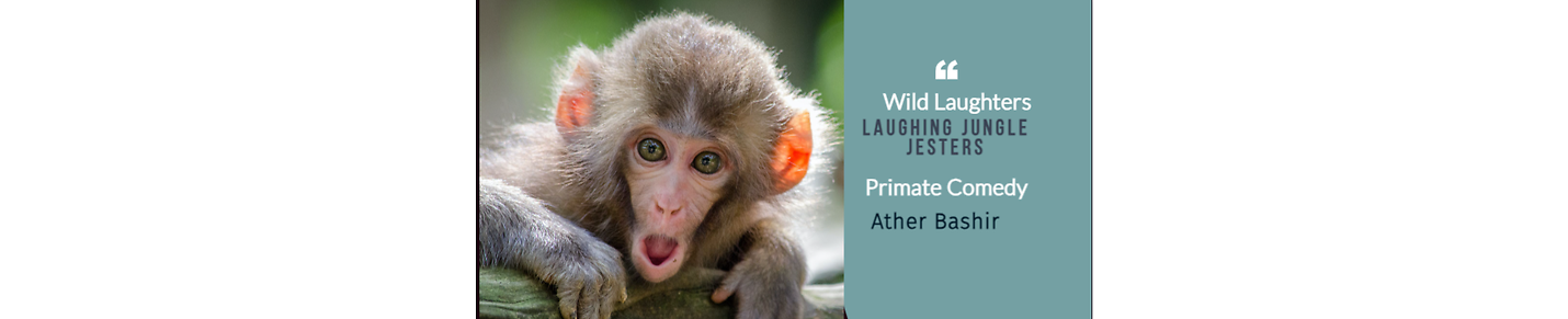 "Unleash the Laughter with the Laughing Jungle Jesters: Hilarious Primate Comedy Galore!"