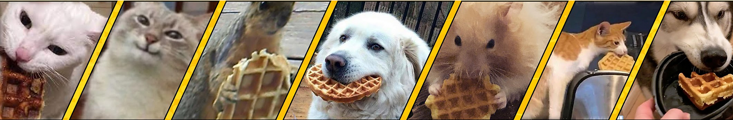 WaffleDew