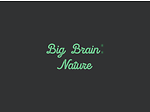 BIG BRAIN: NATURE