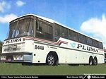 Buss Brasil