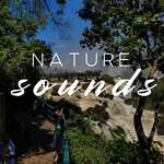 The Nature Sounds