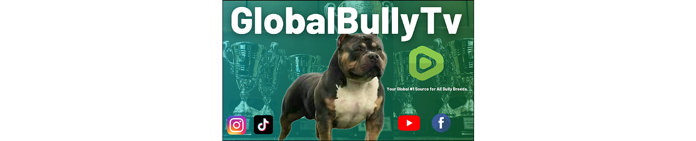 GlobalBullyTv - The #1 Source for Bully Breeds.