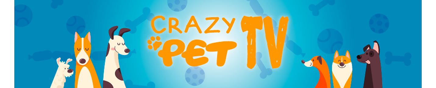 Laugh non-stop with Crazy Pet TV: the home of the funniest pet videos.