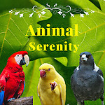 Animal Serenity