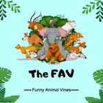Funny Animal Vines
