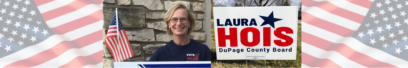 Laura Hois 4 Dupage County Board