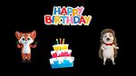 Happy Birthday to You Videos