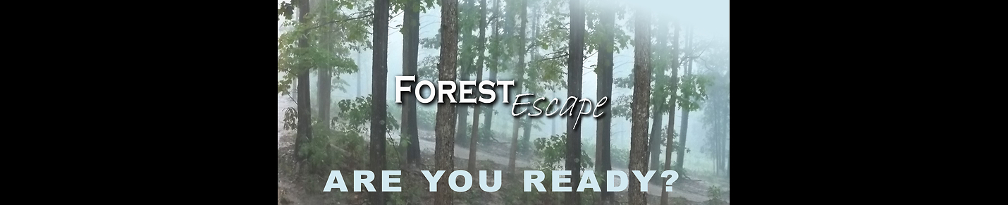 Forest Escape a chosen path