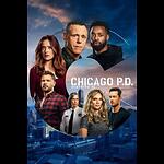 Chicago P.D. Distrito 21