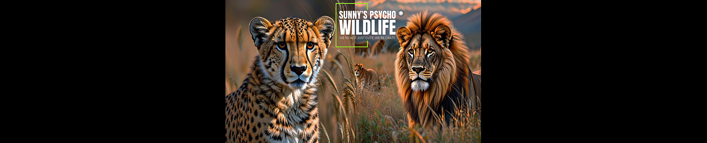 SUNNY PSYCO WILDLIFE