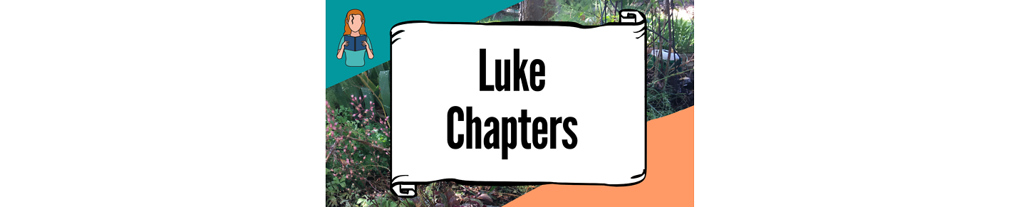 Luke Bible Chapters