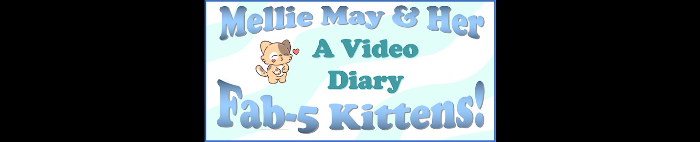 Brilliant Birdie Presents Mellie May & Her Fab-Five Kittens