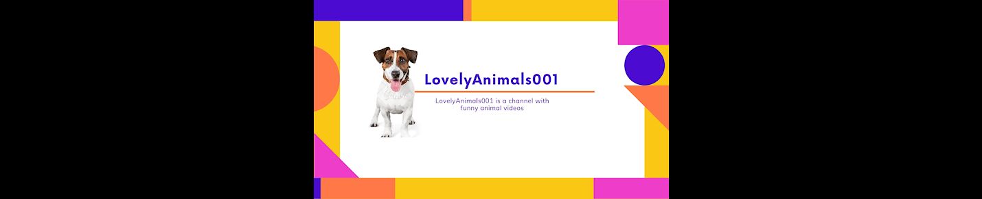 LovelyAnimals001 is a channel  with funny animal videos. If you like cute and funny compilations of pets and animals, then this is the channel for you. Enjoy! :)