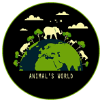 Animals world