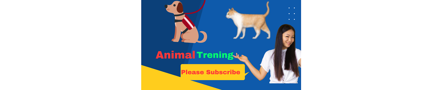 Animal Trening