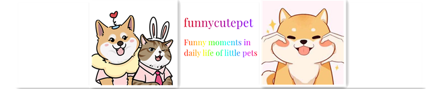 funnycutepet