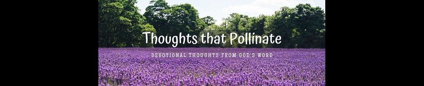 Thoughts that Pollinate