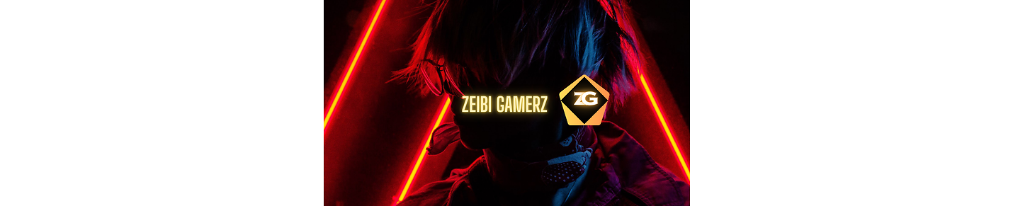 ZEIBI GAMERZ