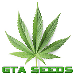 GTA-Seeds