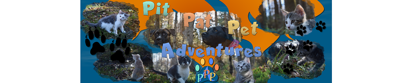 Pit Pat Pet Adventures