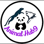 Animal Hub9