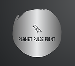 Planet Pulse Point