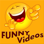 Funny viral videos