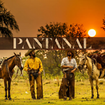 NOVELA PANTANAL