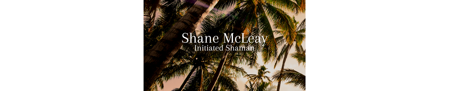 Shane McLeay Initiated Shaman