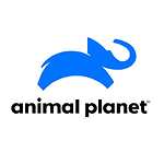 Animal Planet