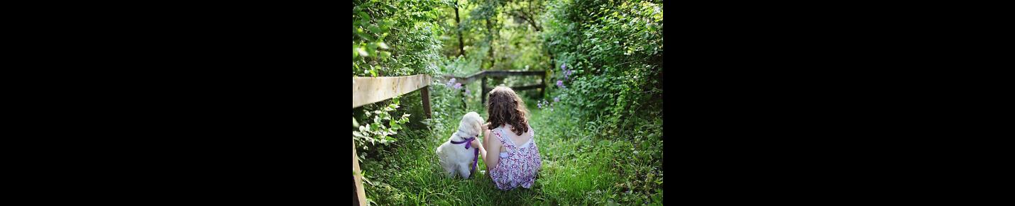 hidden lives of pets