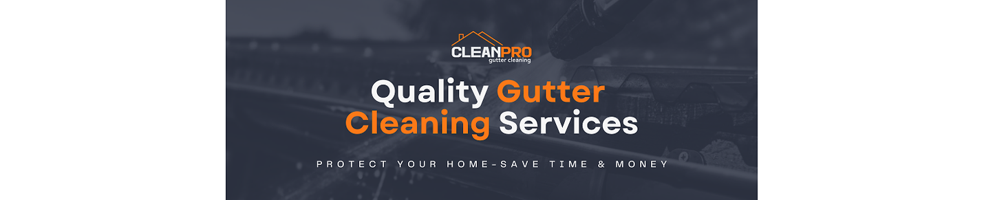 Clean Pro Gutter Cleaning