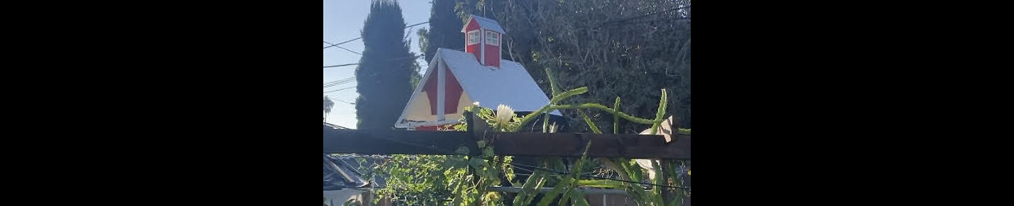 Southern California Backyard Gardening