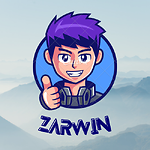 Zarwin