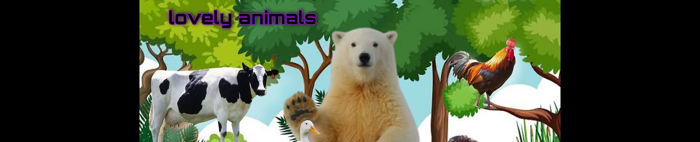 Animals lovely, all about animals
