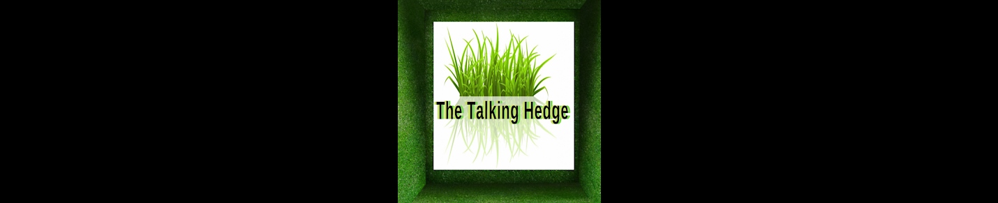 The Talking Hedge