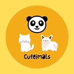 Cute Animals Videos