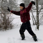 Tai Chi in the Snow