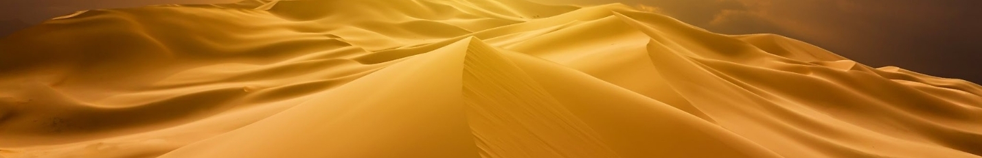 Sahara Desert Explored