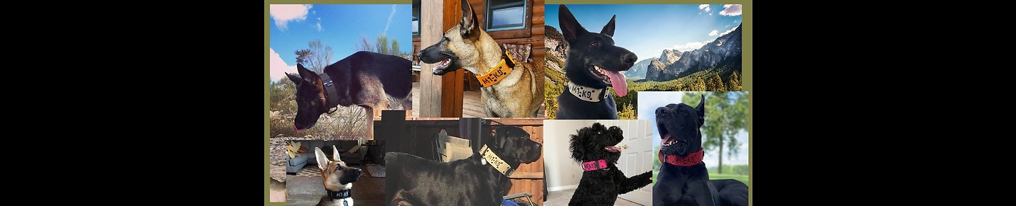 M1-K9 Big Military Dog Collars