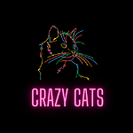 funny Crazy Cats