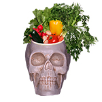 Skullhead Gardening, Cooking, DIY and more