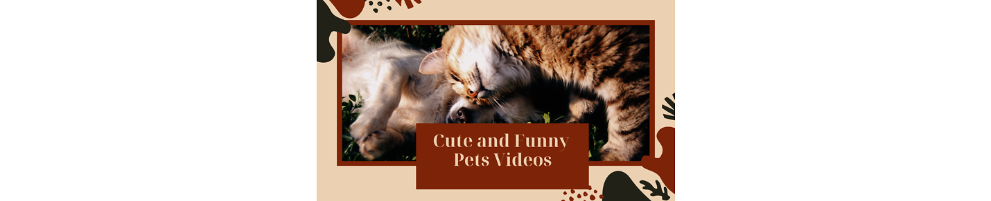 Cute and Funny Pets Videos