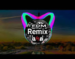 EDMRemix