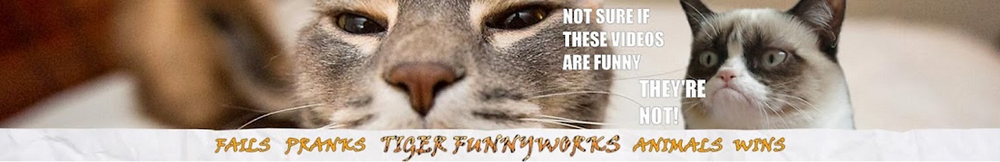 Tiger FunnyWorks