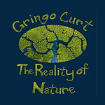 The Reality of Nature by Gringo Curt
