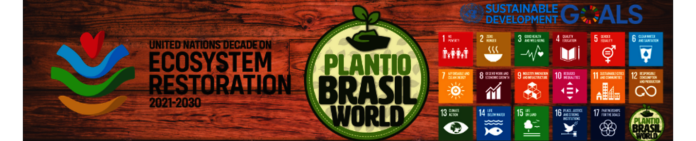 PlantioBrasilWorld