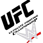 Fists and Fury: UFC & WWE Action